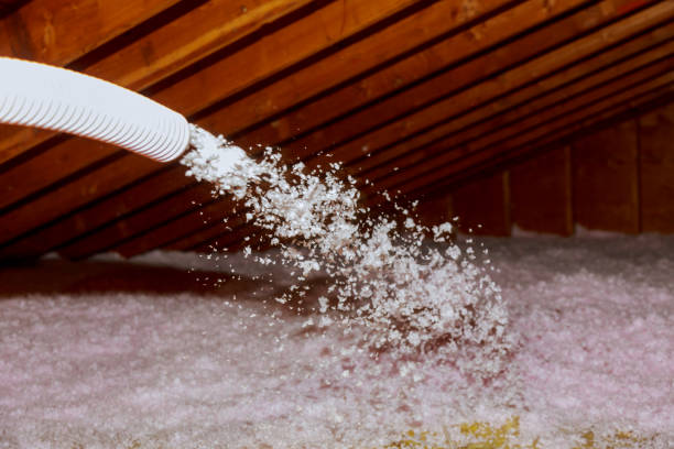 Best Types of Insulation in Arden Arde, CA