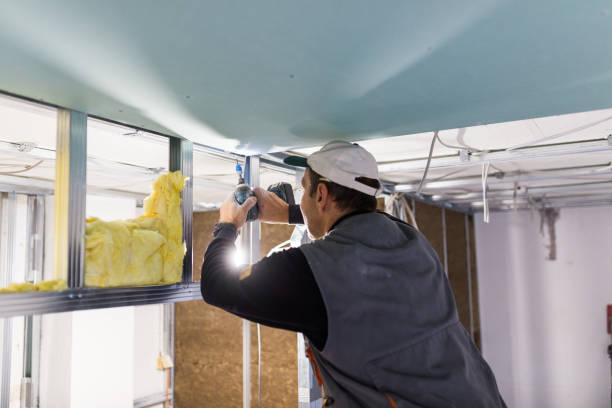 Best Insulation Maintenance and Repair in Arden Arde, CA
